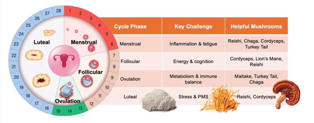 It’s That Time of the Mushroom - Brain Wave