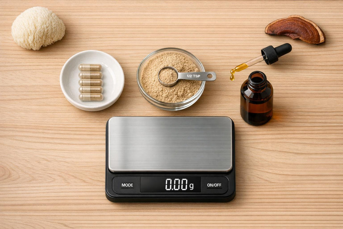 Mushroom Supplement Converter - Brain Wave