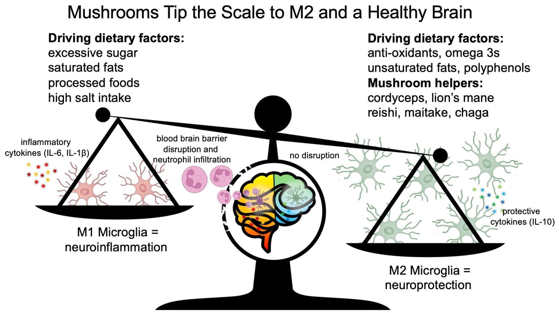 Neuroinflammation is a Me…Microglial Problem - Brain Wave