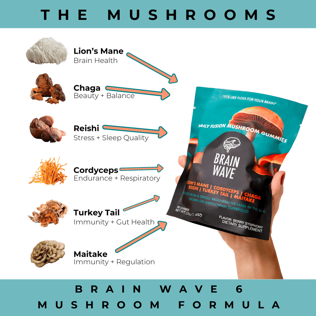 1 Pack (Great Deal) 30% OFF - Brain Wave