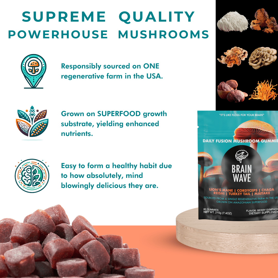 1 Pack (Great Deal) 30% OFF - Brain Wave