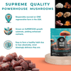 1 Pack (Great Deal) 30% OFF - Brain Wave