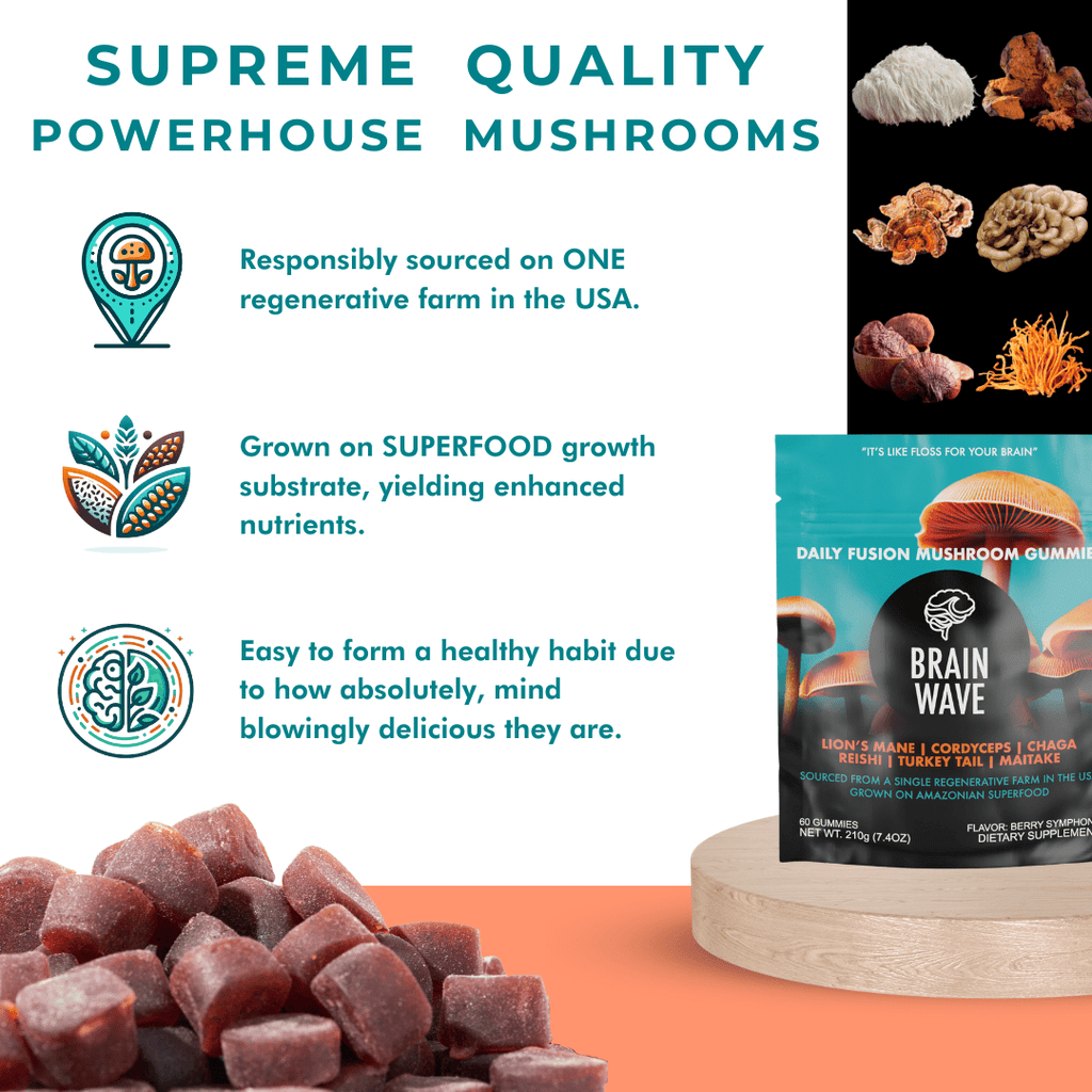 1 Pack (Great Deal) 30% OFF - Brain Wave