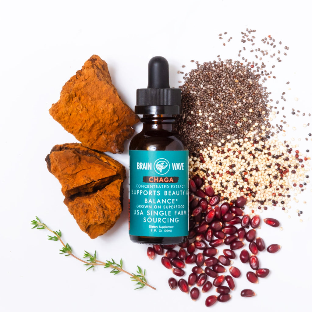 Chaga Dual Extract Tincture | Beauty & Balance - Brain Wave