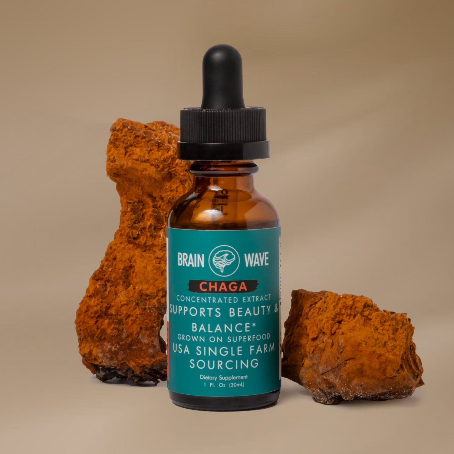 Chaga Mushroom Tincture | Beauty & Balance - Brain Wave