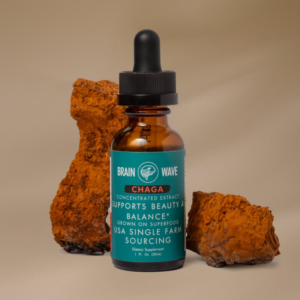 Chaga Mushroom Tincture | Beauty & Balance - Brain Wave