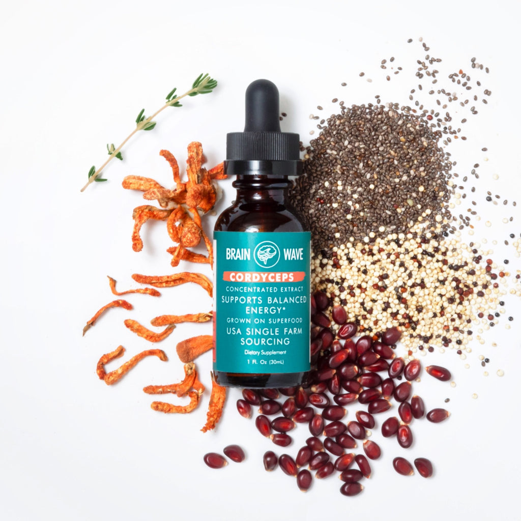Cordyceps Dual Extract Tincture | Balanced Energy - Brain Wave