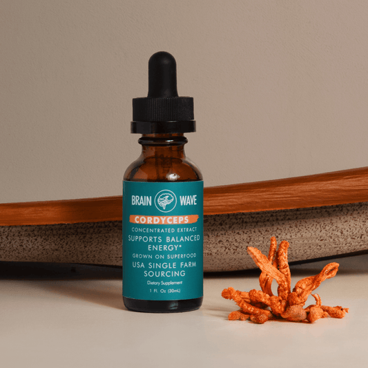 Cordyceps Mushroom Tincture 33% OFF - Brain Wave