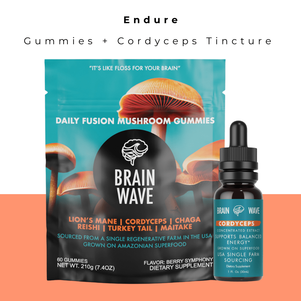 Endure Bundle - Brain Wave