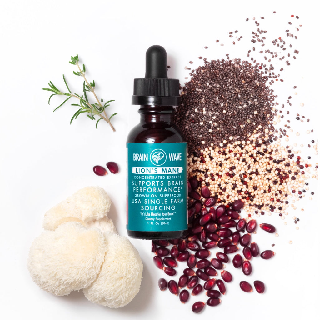 Lion's Mane Dual Extract Tincture | Brain Performance - Brain Wave