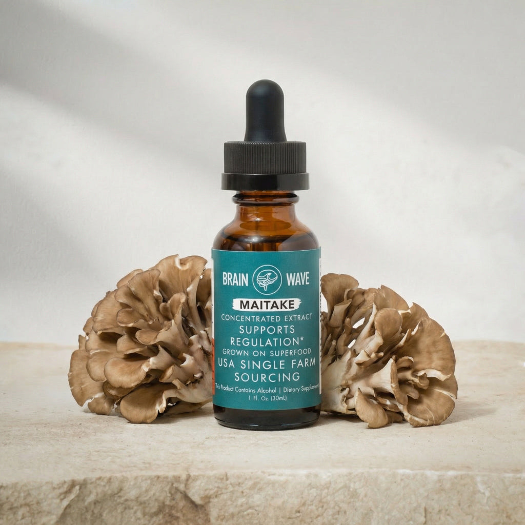 Maitake Mushroom Tincture | Cellular Regulation - Brain Wave