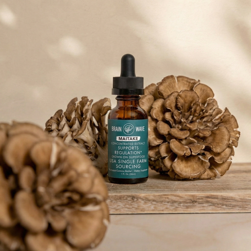 Maitake Mushroom Tincture | Cellular Regulation - Brain Wave