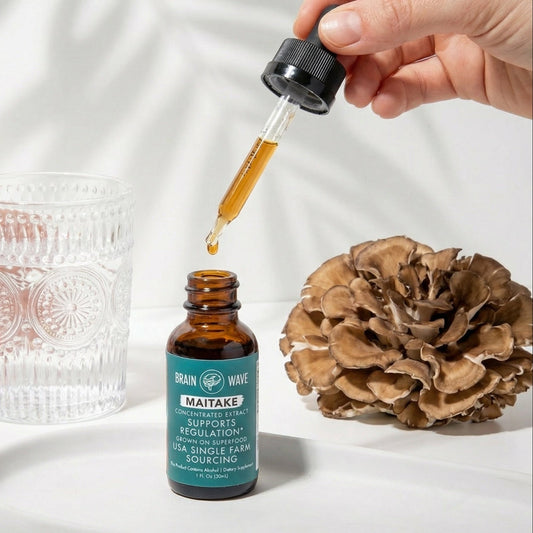 Maitake Mushroom Tincture | Cellular Regulation - Brain Wave