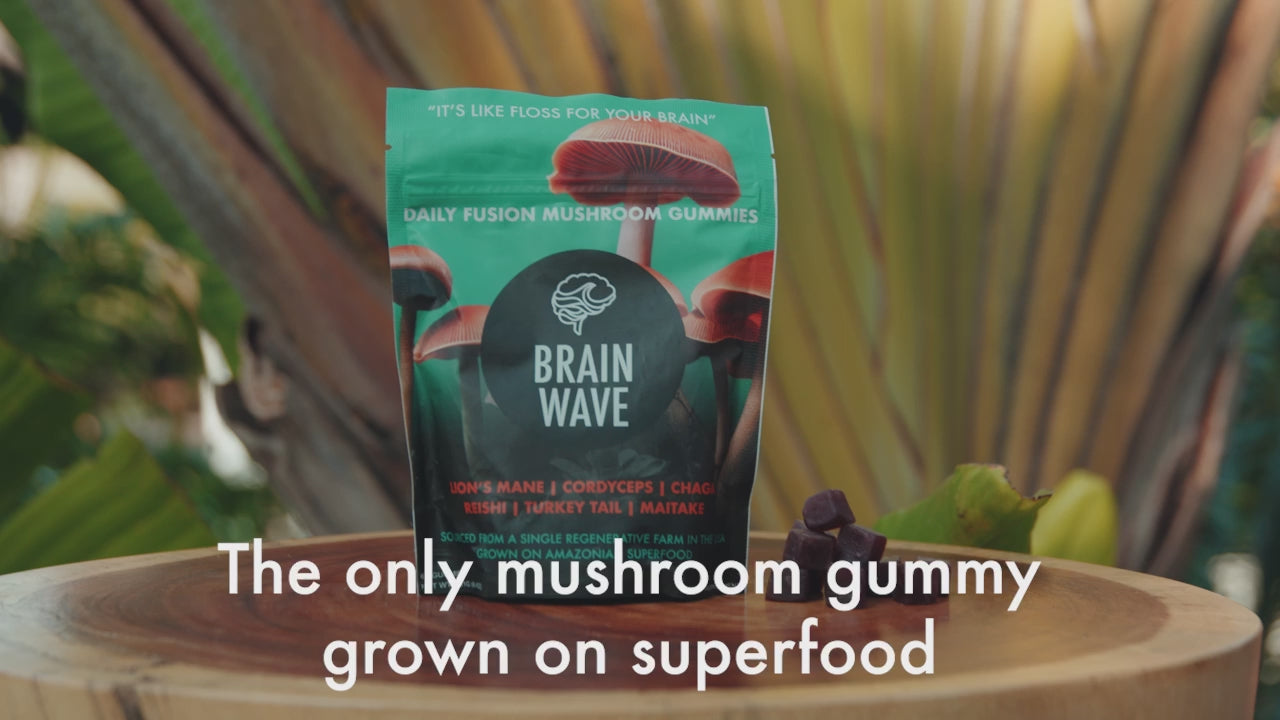 Brain Wave Super Set - Mushroom Gummies & Tinctures Bundle