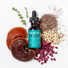 Reishi Dual Extract Tincture | Calm & Balanced Vitality - Brain Wave