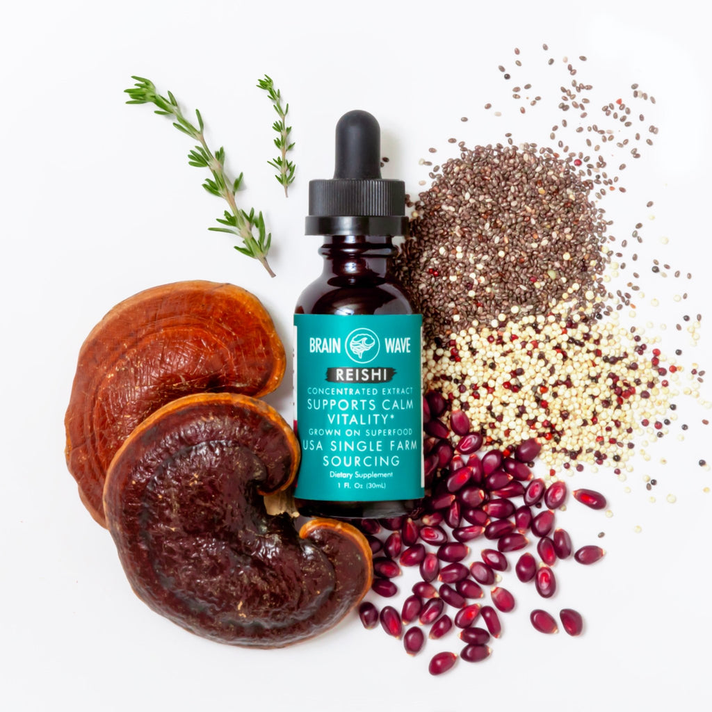 Reishi Dual Extract Tincture | Calm & Balanced Vitality - Brain Wave