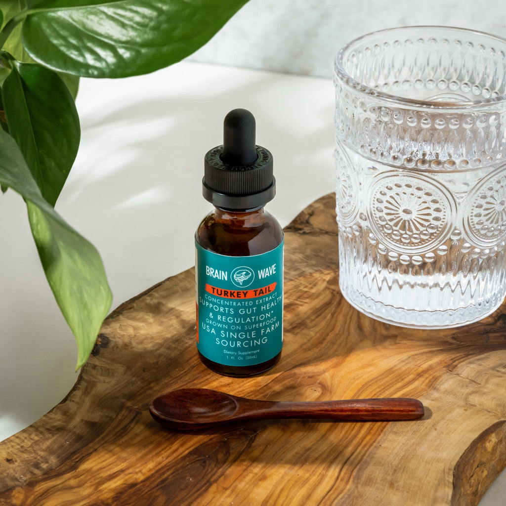 Turkey Tail Dual Extract Tincture | Gut + Immune - Brain Wave