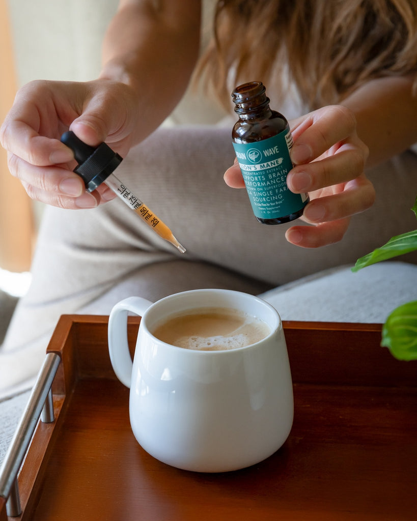 Turkey Tail Dual Extract Tincture | Gut + Immune - Brain Wave