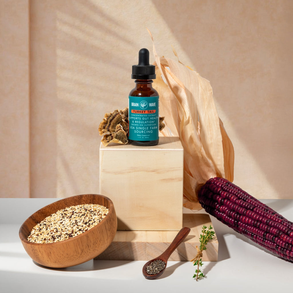 Turkey Tail Dual Extract Tincture | Gut + Immune - Brain Wave
