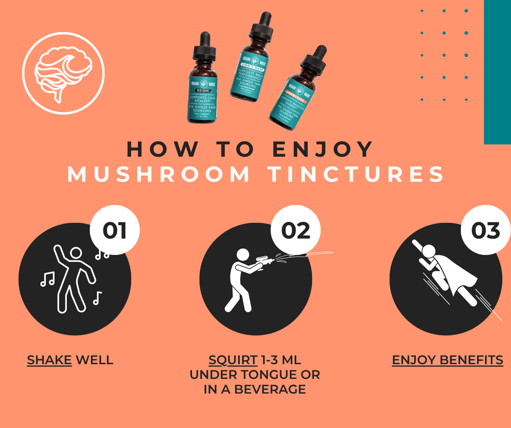 Turkey Tail Dual Extract Tincture | Gut + Immune - Brain Wave