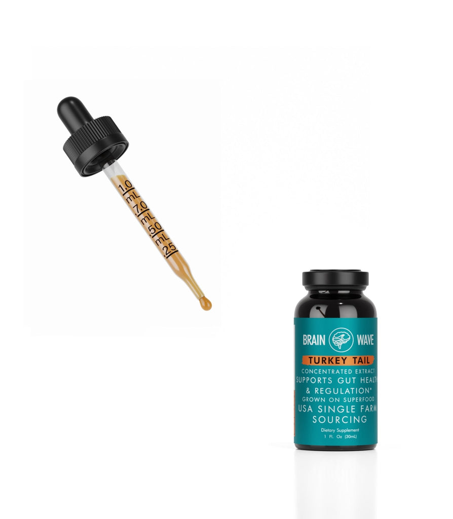 Turkey Tail Mushroom Tincture | Gut + Immune - Brain Wave